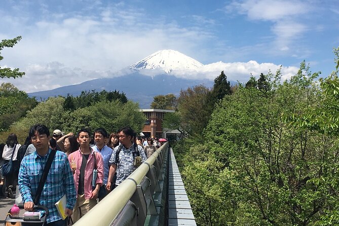 Private Car Mt Fuji and Gotemba Outlet in One Day From Tokyo - Confirmation and Booking Process