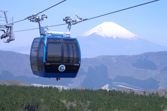 Private Guided Sightseeing Full Day Tour In Mt. Fuji And Hakone - Pricing and Group Size
