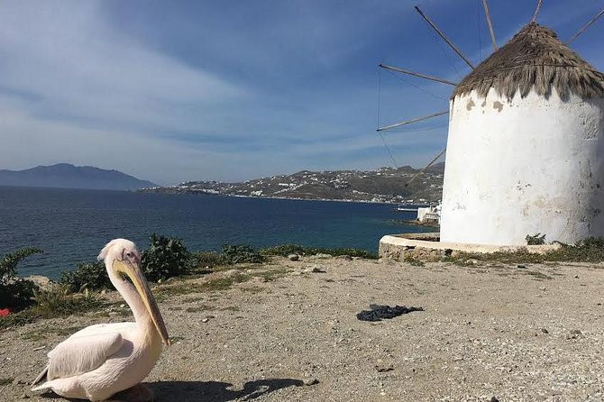 Private Tour: Mykonos Island in Half a Day - Moderate Physical Fitness Required