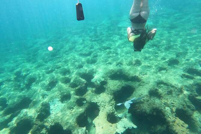 Public Guided Snorkel Tour of Fort Lauderdale Reefs - Recap