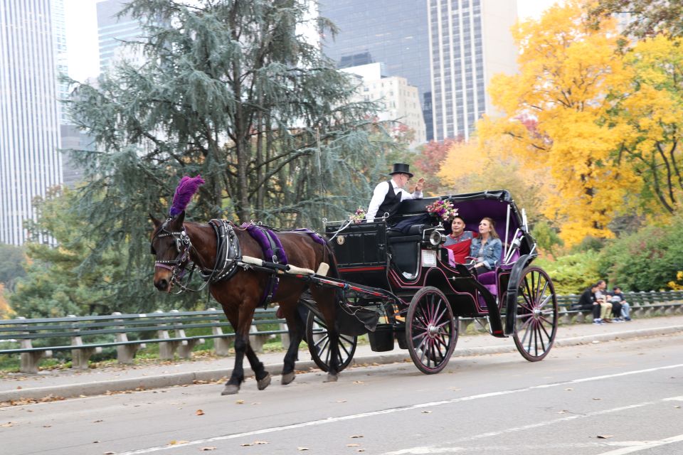 Romantic/Proposal Central Park Carriage Tour Up to 4 Adults - Cancellation Policy