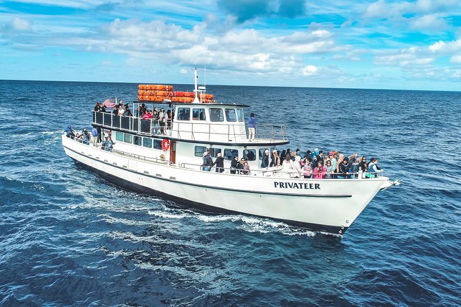 San Diego Whale Watching Tour - Customer Reviews