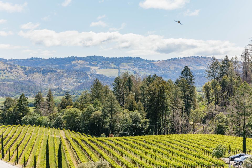 San Francisco: Luxury Small-Group Wine Tour of Napa Valley - Important Considerations