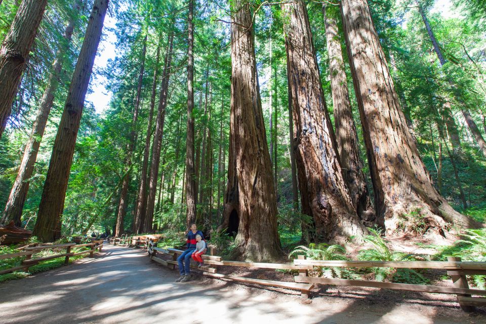 San Francisco: Private Muir Woods, Sausalito Half-Day Trip - Tour Exclusions