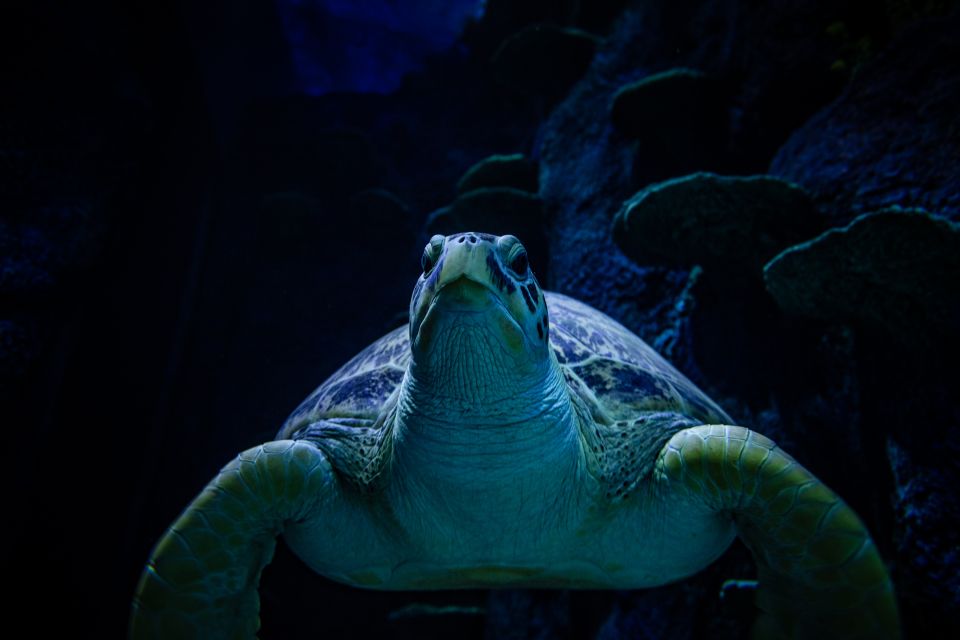 SEA LIFE Sydney Aquarium - Frequently Asked Questions