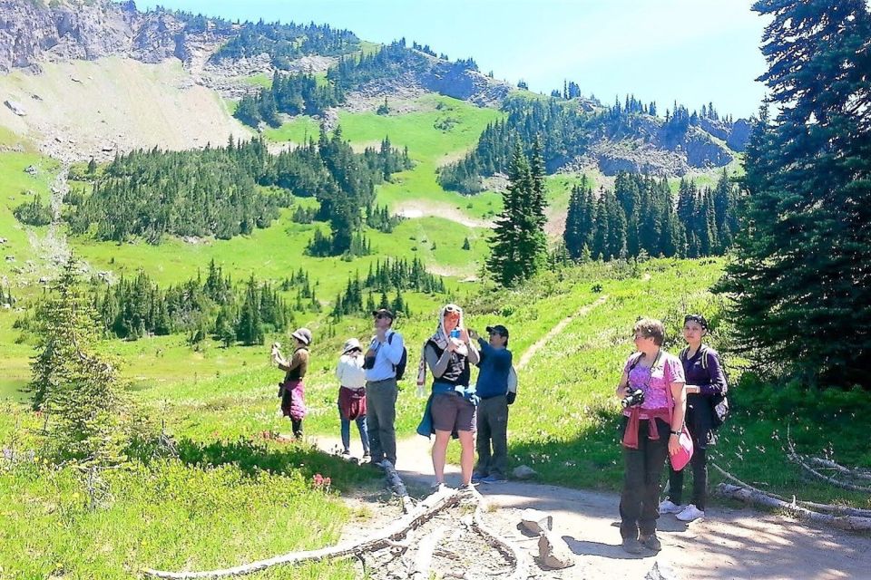 Seattle: Mount Rainier Park All-Inclusive Small Group Tour - Stunning Landscapes
