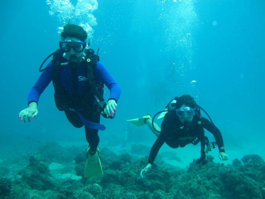 Shore Discover Scuba Diving Experience - Included Amenities and Transportation