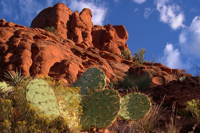 Small Group or Private Sedona and Native American Ruins Day Tour - Additional Information