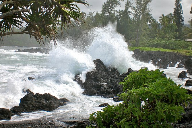 Small-Group Road to Hana Luxury Tour - Positive Feedback