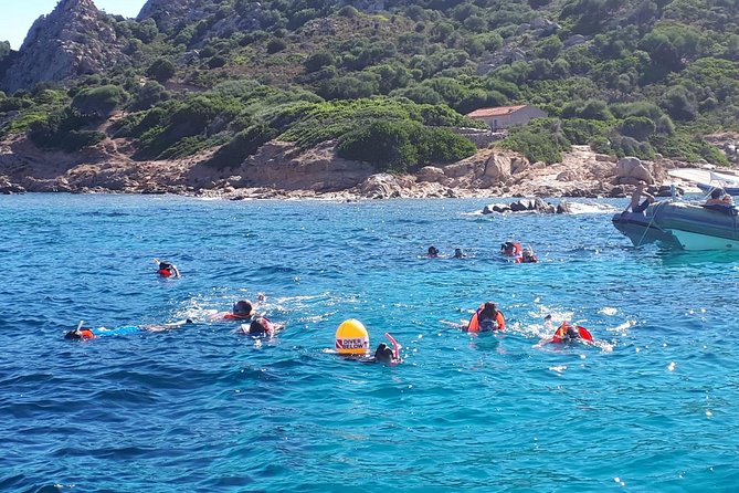 Snorkeling Marine Protected Area Tavolara - Pricing and Availability