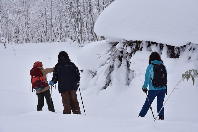 Snowshoe Hike Tour From Sapporo - Transportation and Gear Provided