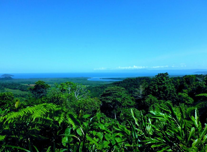 Tablelands Sights & Daintree Rainforest - Duration