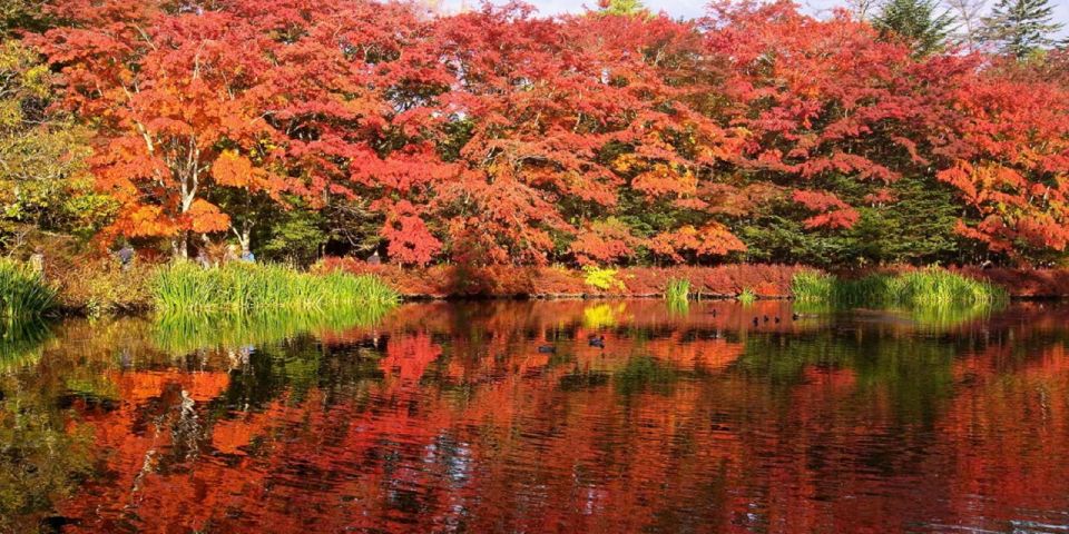 Tokyo: Karuizawa, Hoshino Resorts Area, Glacier Shrine Day Tour - Hoshino Onsen Hot Springs