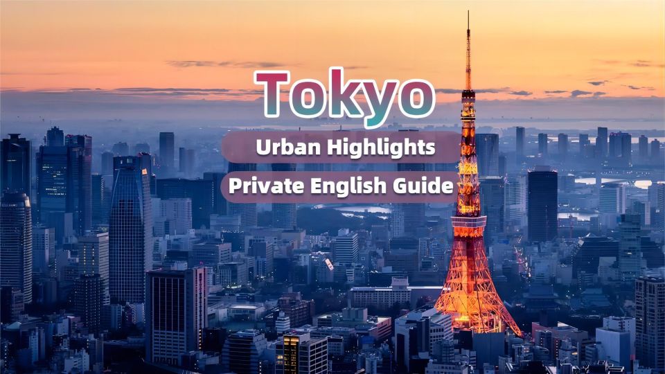 Tokyo Urban Highlight Expert English Guide Private Tour - Expert English-Speaking Guide