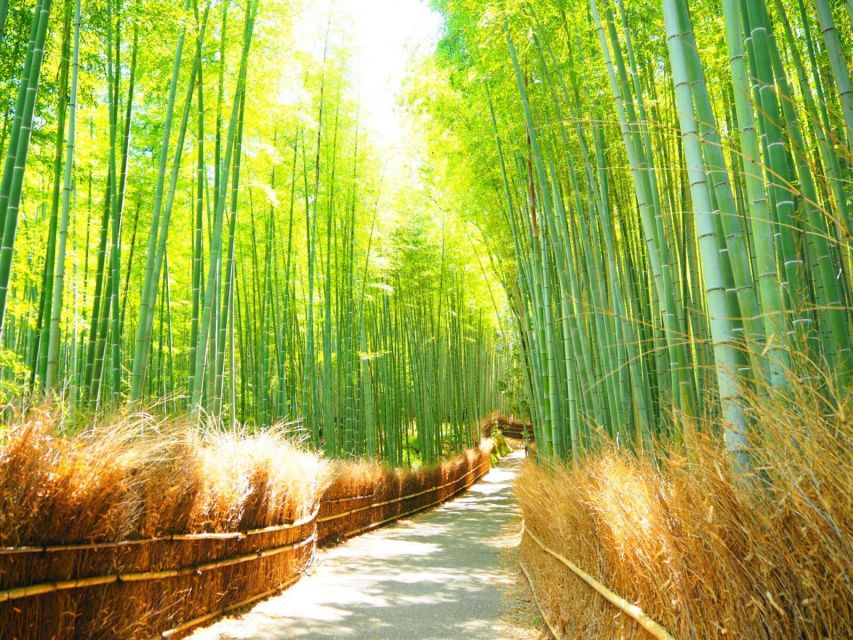 Traversing Kyotos Scenic West - Arashiyama to Kinkakuji - Ryoanji Temple and Rock Garden
