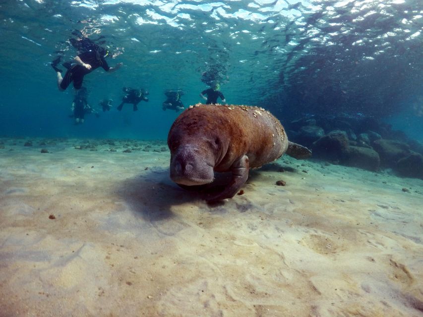 West Palm Beach: Private Peanut Island Boat & Snorkel Tour - Booking Information