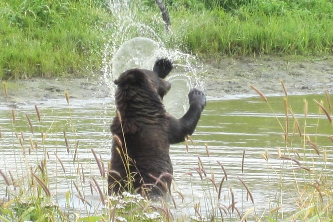 Wildlife and Glaciers With a Walk in the Rainforest - Frequently Asked Questions