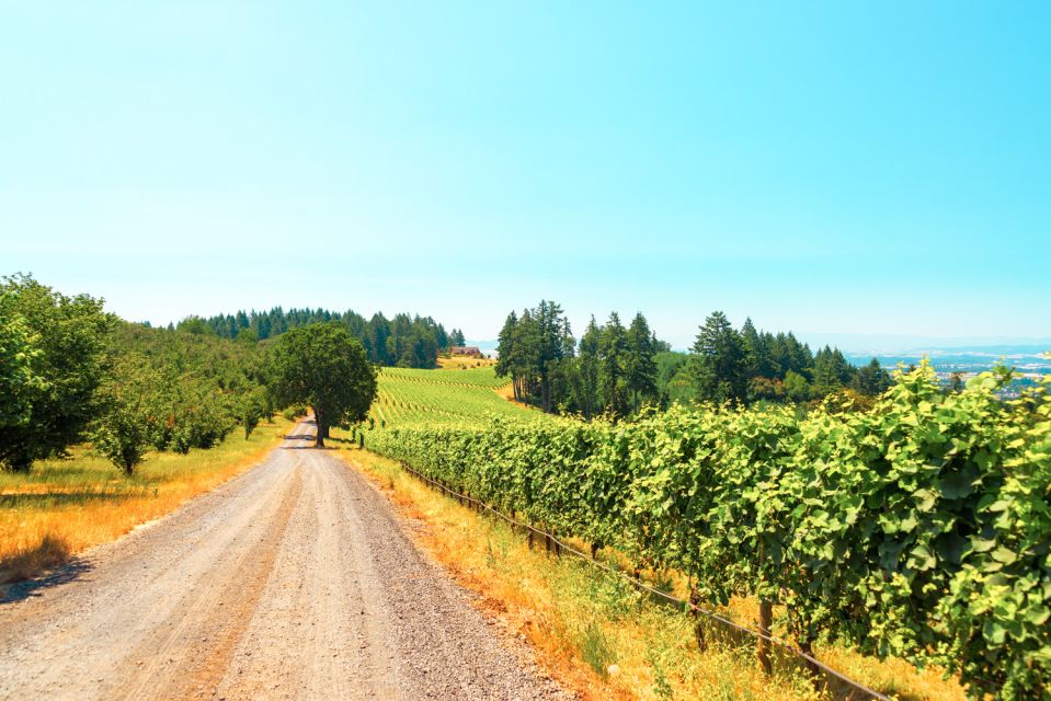 Willamette Valley Wine Tour (Tasting Fees Included) - Important Tour Information