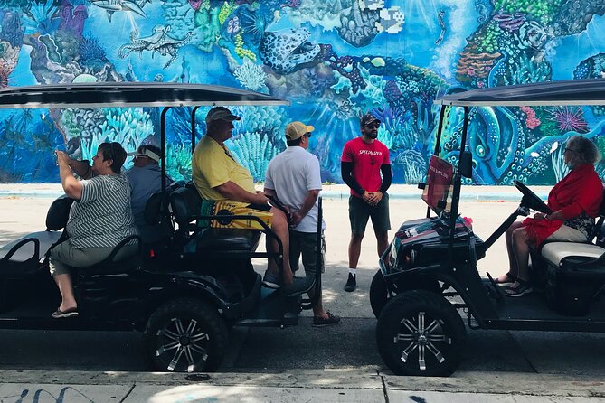 Wynwood Graffiti Golf Cart Small-Group Tour - Customer Testimonials