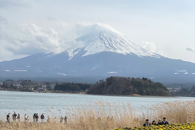 1 Day Fully Customized Tour to Mt Fuji With English & Hindi Speak - Weather and Cancellation Policy