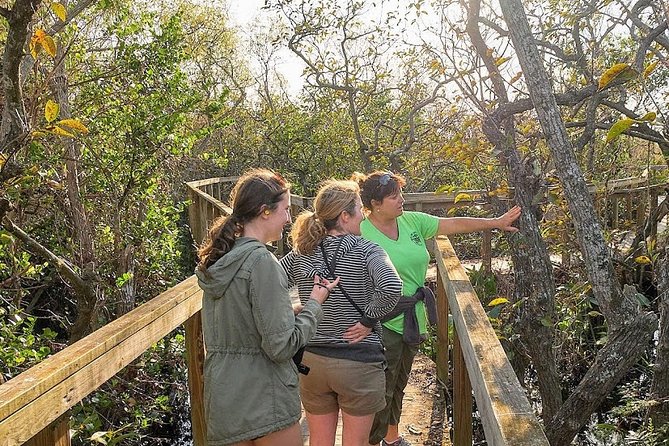 1-Hour Air Boat Ride and Nature Walk With Naturalist in Everglades National Park - Frequently Asked Questions