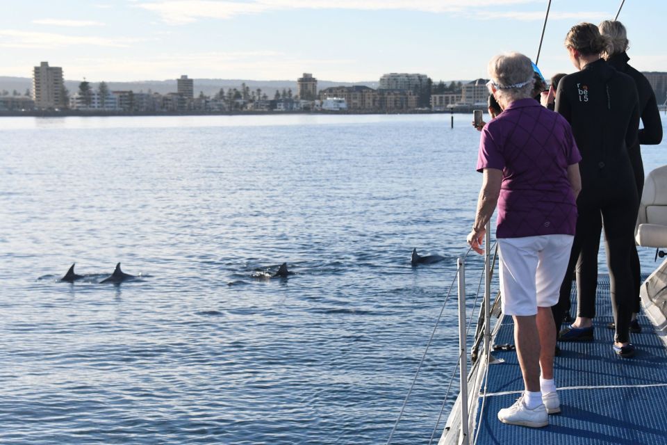 Adelaide: 3.5-Hour Guaranteed Wild Dolphin Watching Cruise - Booking Information and Cancellation Policy