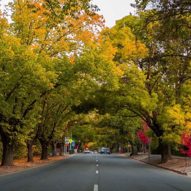 Adelaide: City Highlights and Hahndorf Tour With Pickup - Staff Availability Note