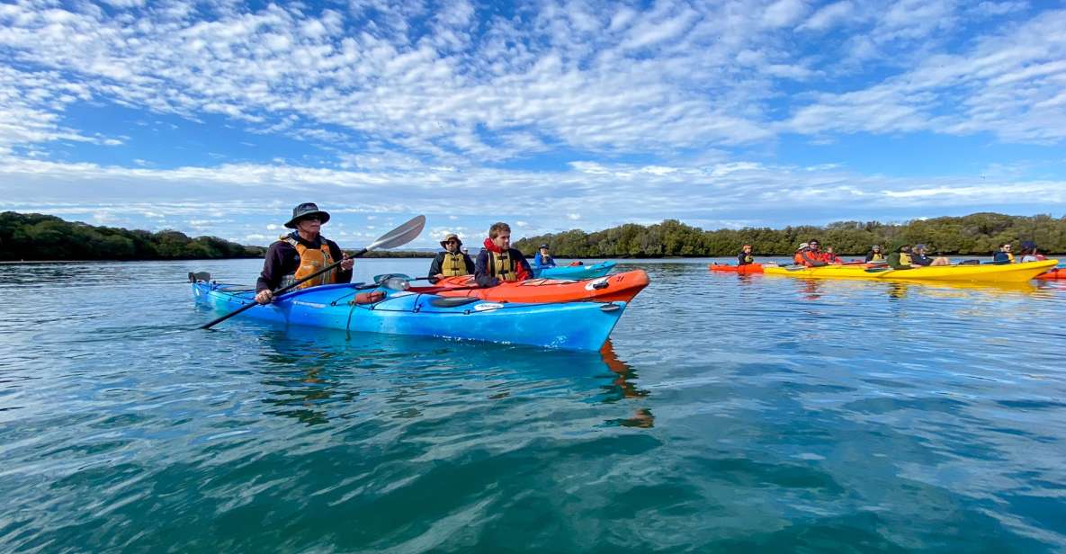 Adelaide: Dolphin Sanctuary Mangroves Kayak Tour - Frequently Asked Questions