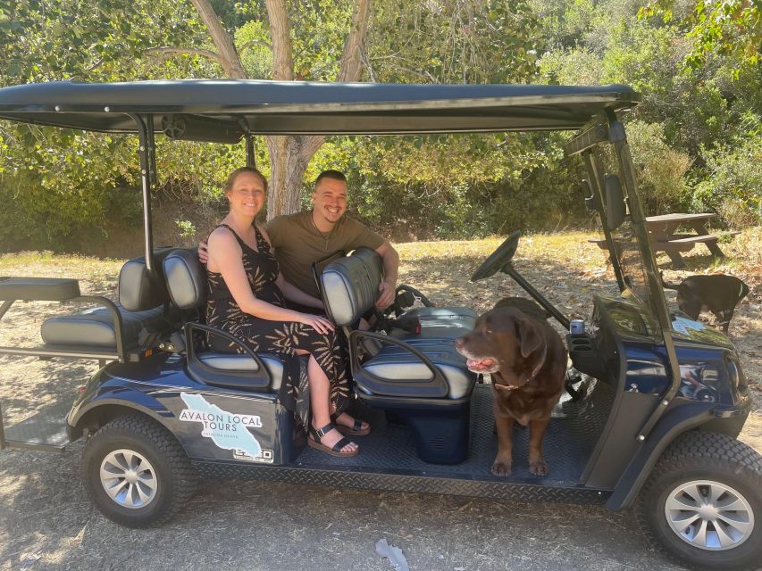 Avalon: Private Golf Cart Tour With Driver-Guide - Unique and Fun Sightseeing Adventure