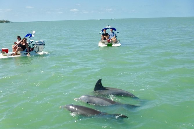 Backwater Adventures CraigCat Tours of the 10,000 Islands - Recap