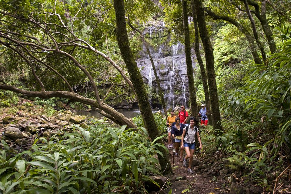 Big Island: Full Day Adventure Tour of the Kohala Waterfalls - Directions