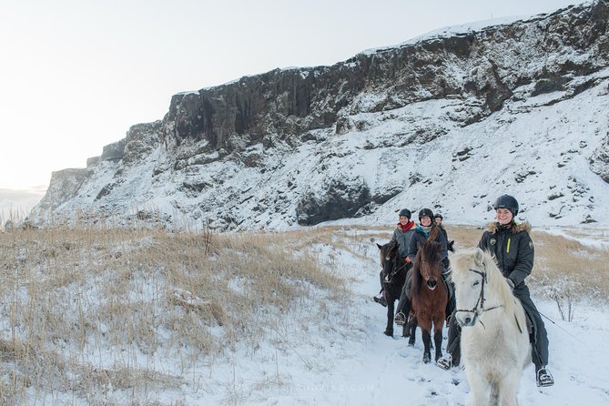 Black Sand Beach Horse Riding Tour From Vik - Additional Information