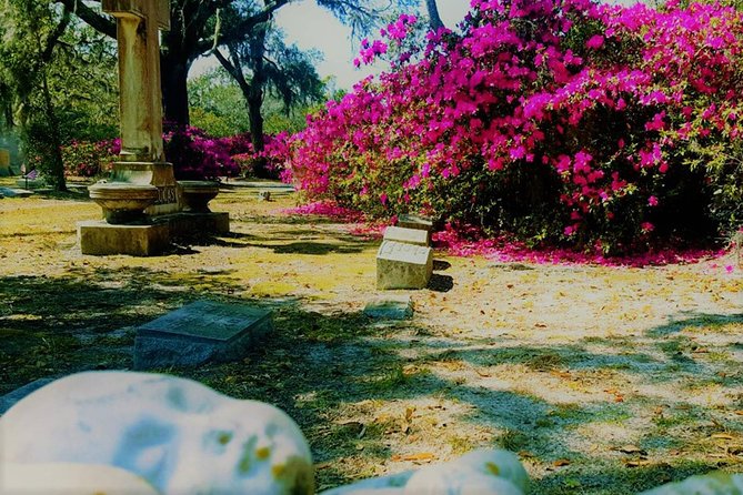 Bonaventure Cemetery Is Forever Tour - Popular Tour Guides and Recommendations
