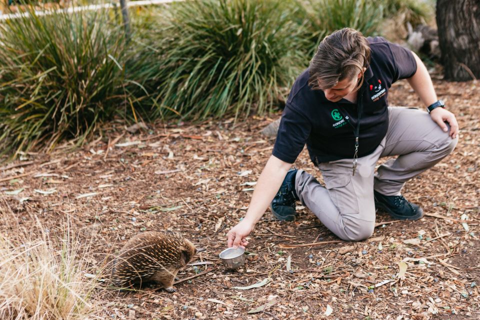 Bonorong Wildlife Sanctuary Half-Day Tour From Hobart - Directions