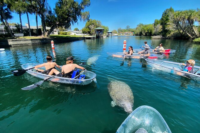 Clear Kayak Tour of Crystal River - Frequently Asked Questions