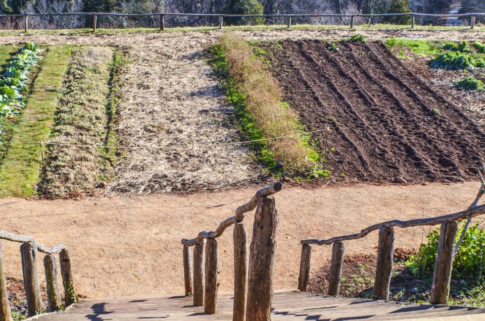 DC: Private Day Trip to Thomas Jefferson's Monticello Estate - Highlights of the Experience