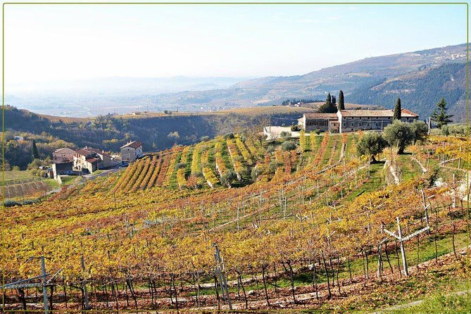 Discover Valpolicella Vineyards and Wine Tasting Experience - Booking and Cancellation Policy