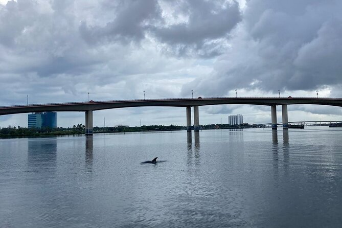 Dolphin and Manatee Stand Up Paddleboard Tour in Daytona Beach - Frequently Asked Questions