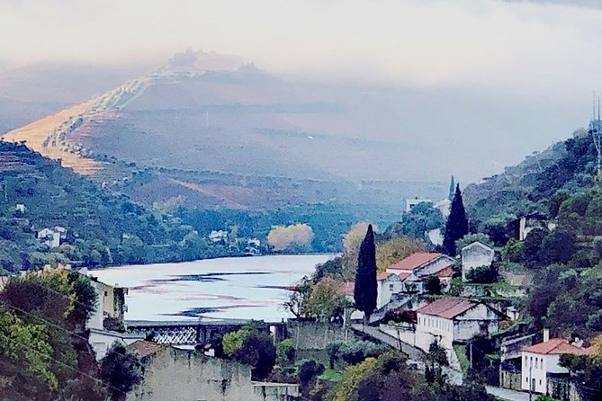 Douro Valley: Food and Wine Small Group Tour From Porto - Cancellation and Pricing