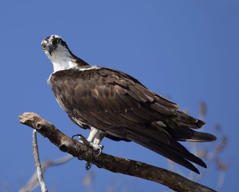 Everglades Day Safari From Fort Lauderdale - Group Size and Inclusions