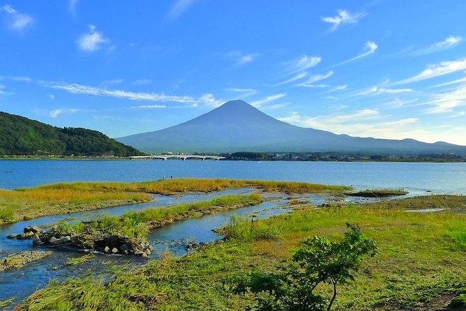 Experience the Stunning Nature of Mt.Fuji - Private Tour - Enjoying the Mt. Fuji Ropeway and Onsen