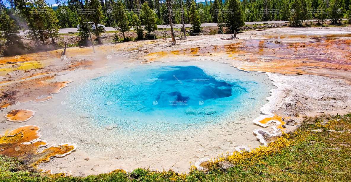 From Bozeman: Exclusive Yellowstone Tour (2 Days 1 Night) - Inclusions