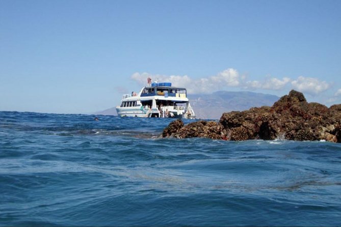 From Maalaea Harbor: Whale Watching Tours Aboard the Quicksilver - Recap