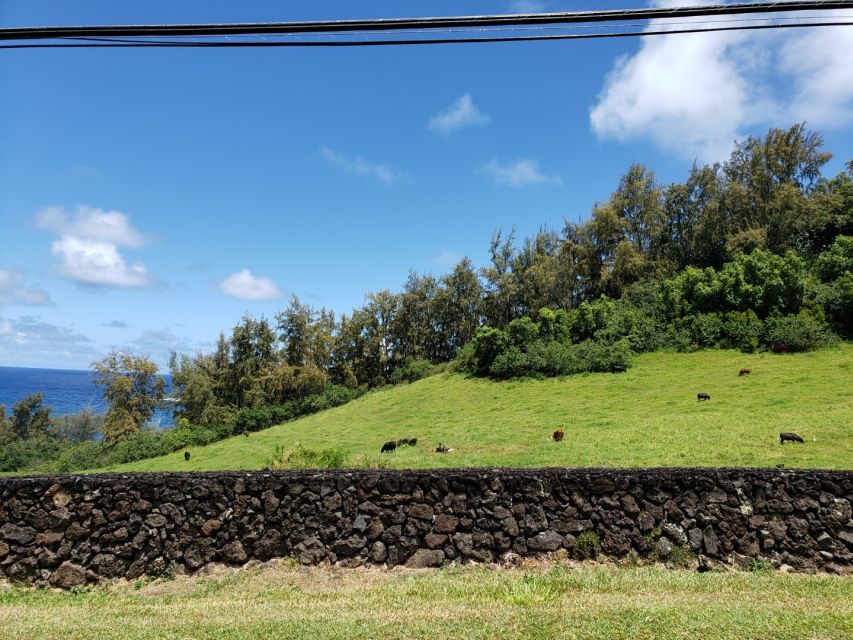 From Maui: Private Road to Hana Day Trip - Frequently Asked Questions