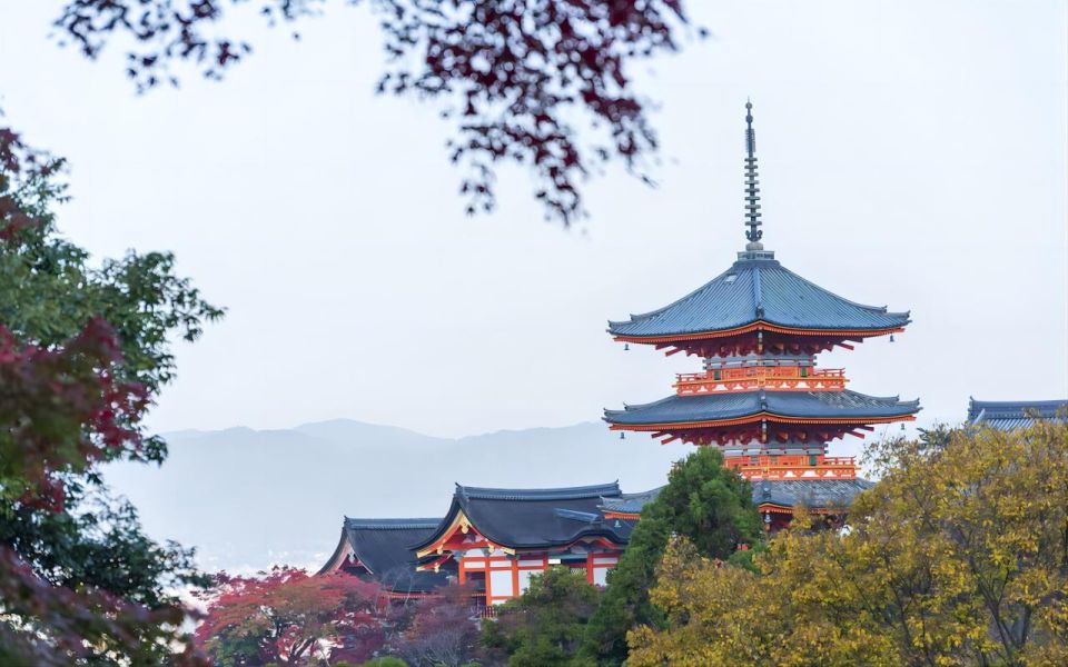 From Osaka: 10-hour Private Custom Tour to Kyoto - Stroll Through Hanami-Koji and Sannenzaka