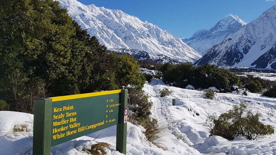 From Queenstown: Mount Cook Heli-Hike and Bus Tour Combo - Customer Reviews and Testimonials