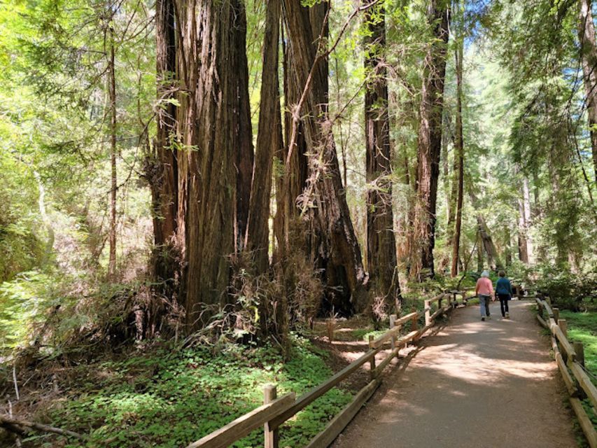 From San Francisco: Private Muir Woods and Napa Wine Tour - Frequently Asked Questions