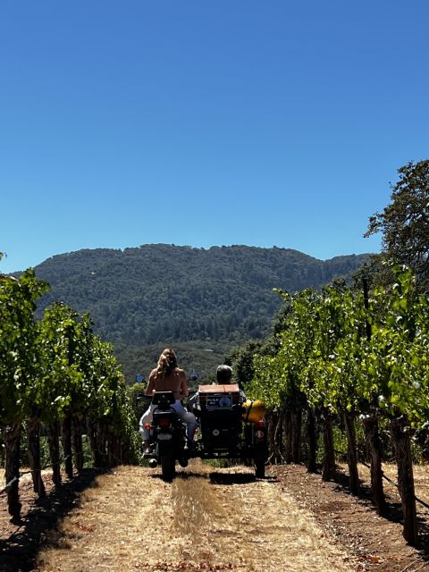 From Sonoma: Napa Valley Classic Sidecar Tour to 3 Wineries - Picnic Lunch in Napa