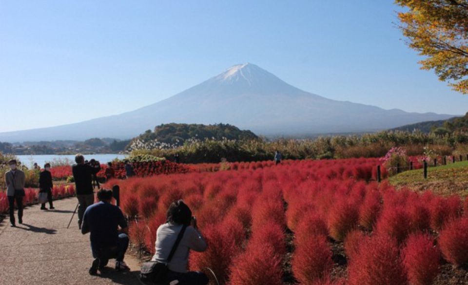 From Tokyo: Mt Fuji and Hakone Customizable Private Day Trip - Duration and Pricing Details