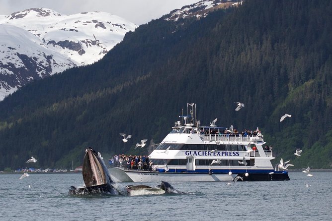 Full-Day Kenai Fjords National Park Cruise - Recommendations